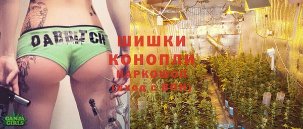 гашик Лабытнанги