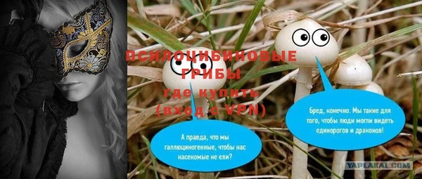соль ск Арсеньев