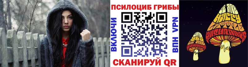 закладка  Полысаево  Галлюциногенные грибы Cubensis 